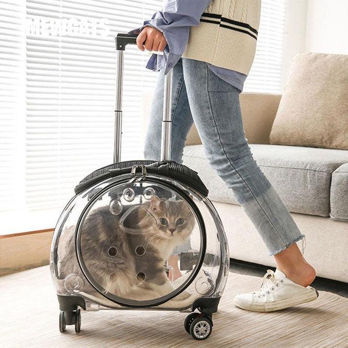 cat-carrier-backpack-with-wheels