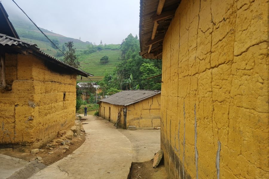 Rammed earth houses are made entirely of compacted soil. 