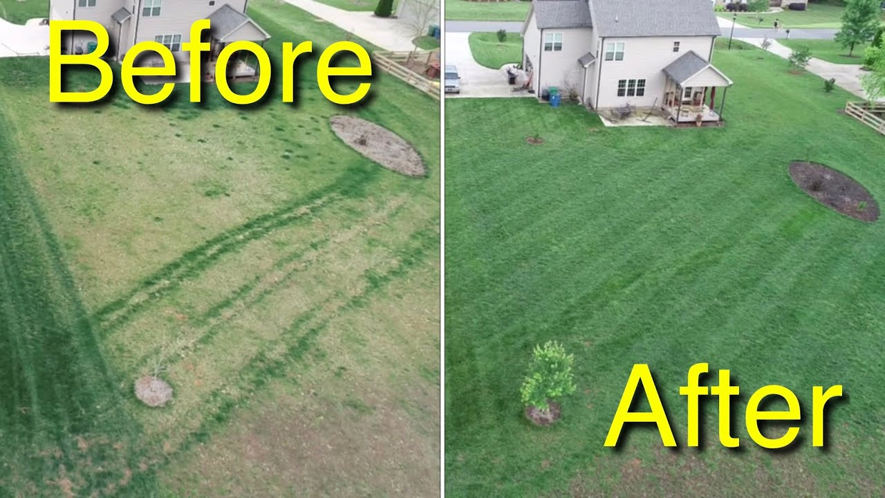 Lawn Fertilization