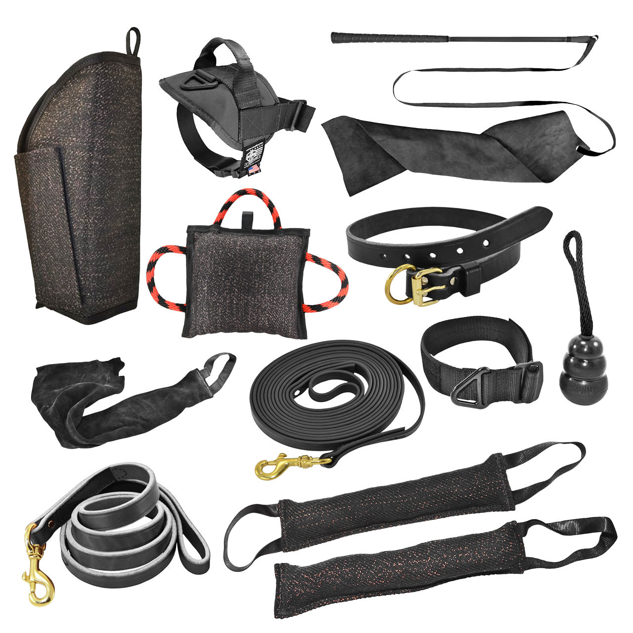 dog-training-kit-essential-tools-for-effective-training