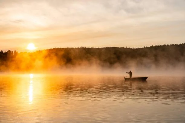 25 Photos That Celebrate the Wild, wild nature, untamed landscapes, nature, landscape, outdoor freedom, earth rawness