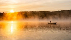 25 Photos That Celebrate the Wild