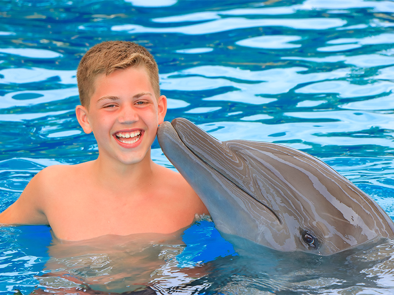 Dolphin playing with a boy