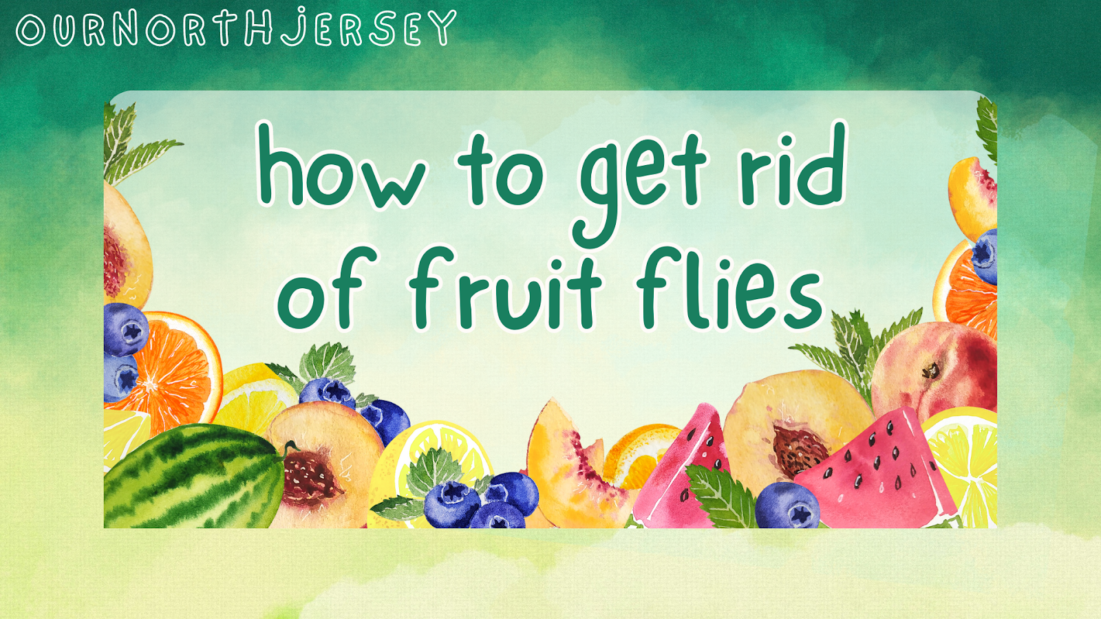 How to get rid of fruit flies 