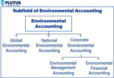 Environmental Accounting 