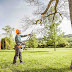 Tree Lifting Services in Connecticut – Trusted Local Contractors