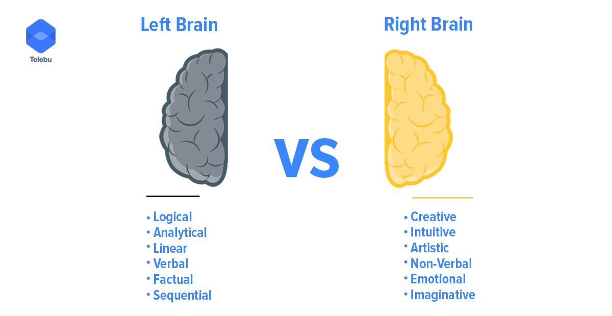 difference between the analytical and creative part of your brain and your marketing team