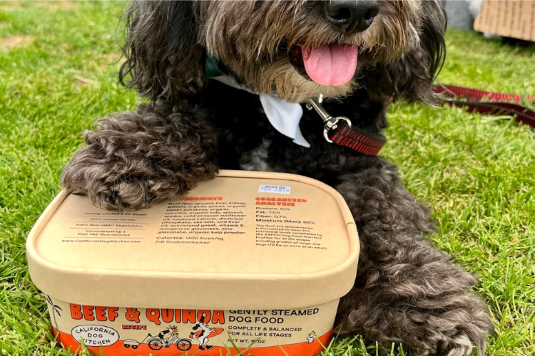 Dog placing his paw on the beef & quinoa food from California Dog Kitchen.