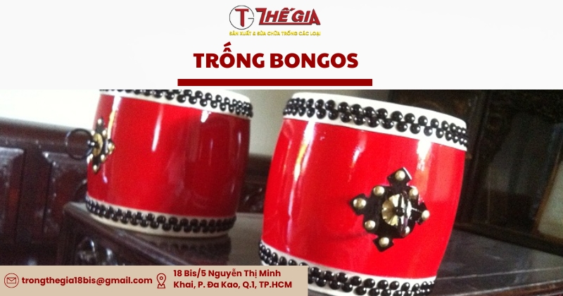 Trong bongos 3