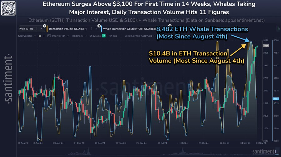 crypto AD 4nXefxmroarxtXGp5CmuJQPhGNP0xJVPpIRI 9EkfFOGQ 5WYaqJAM8Bp e10IvxuGaZ6hHxudRR1tf2H2beOuGnd 5dz jciYCV6RRg5AkpTS2hPn1Lw sIrD cPr09U4UoM8 7mQg?key=EuHYK8mqTgiKW8l80EqN6qJA