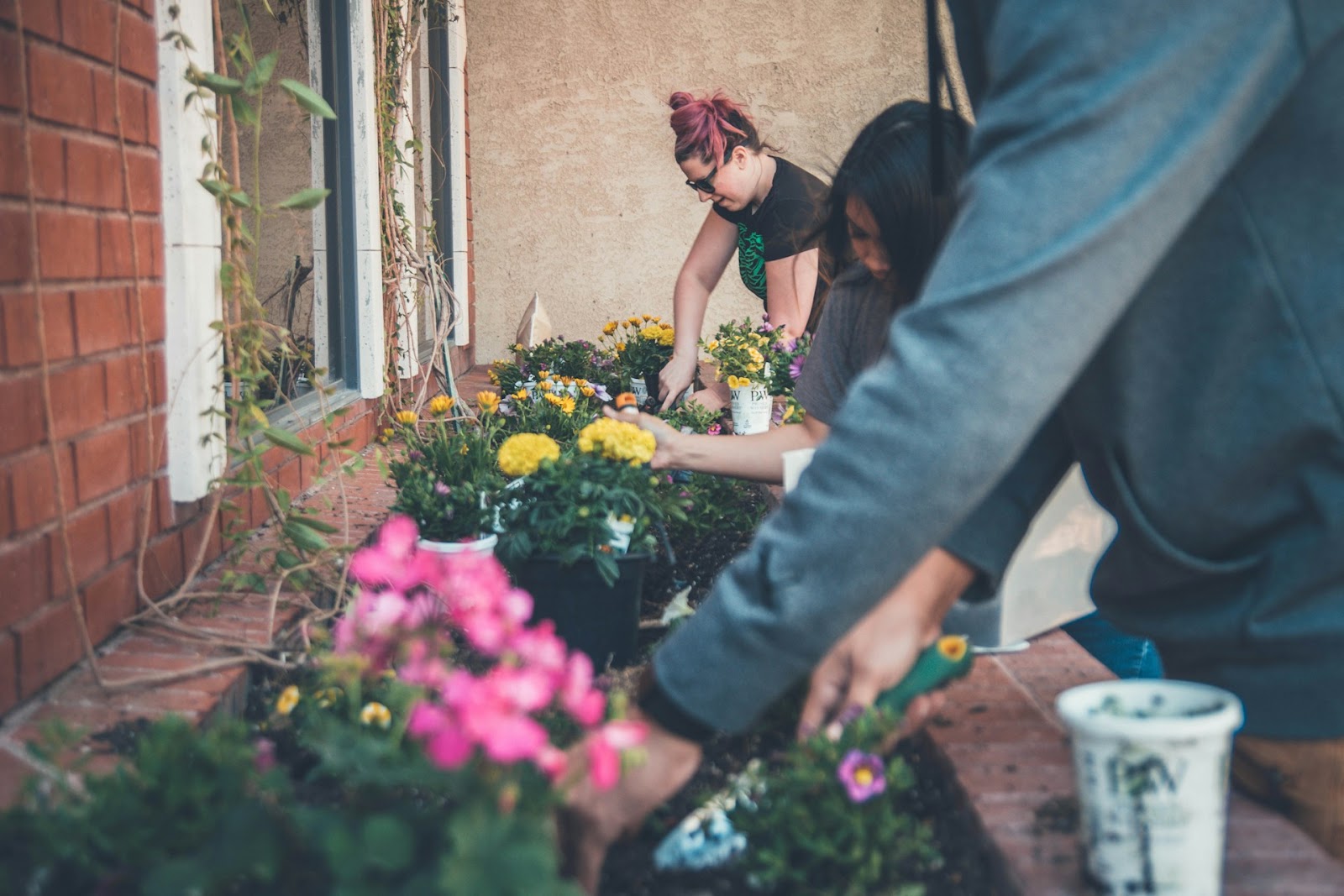 Three people, gardening in front of a house, a great group activity for people interested in living more sustainably.