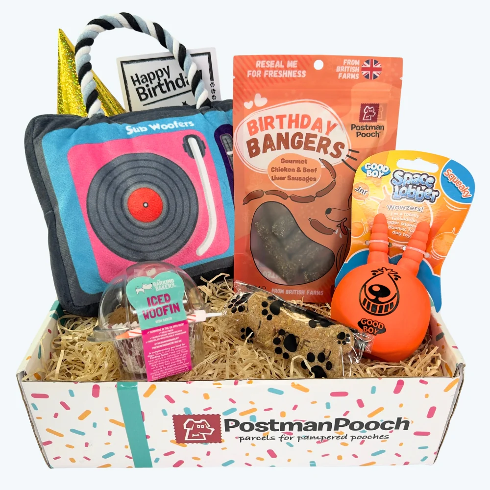postman pooch birthday box