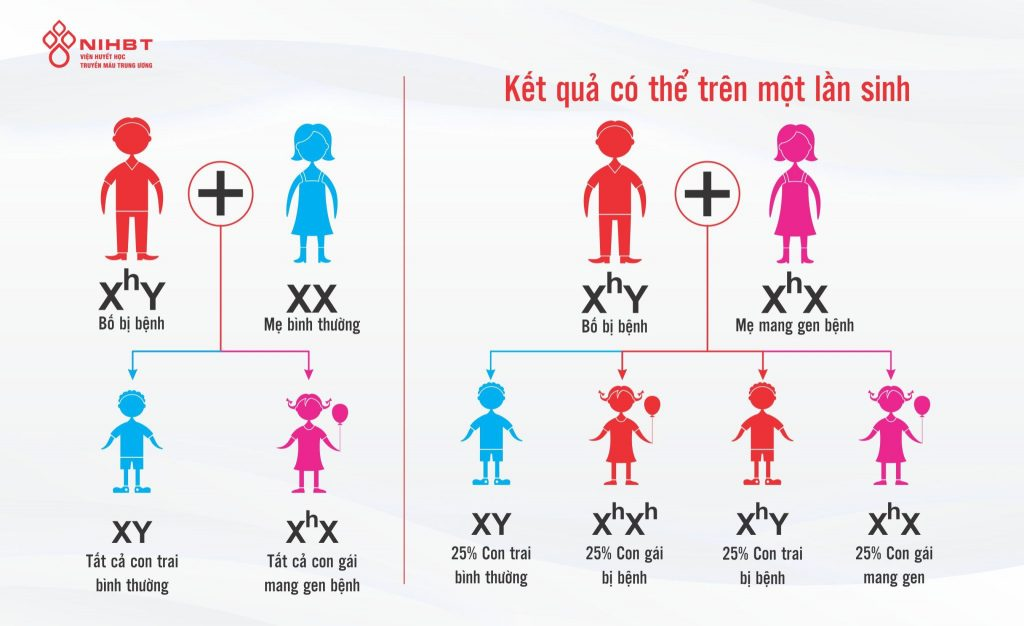 BÀI 8: CÁC QUY LUẬT DI TRUYỀN CỦA MORGAN VÀ DI TRUYỀN GIỚI TÍNH