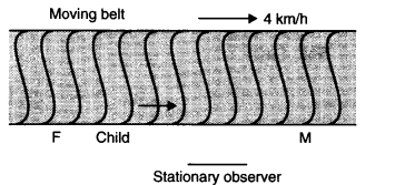 NCERT Solutions for Class 11 Physics Chapter 3 Motion in a Straight Line Q25