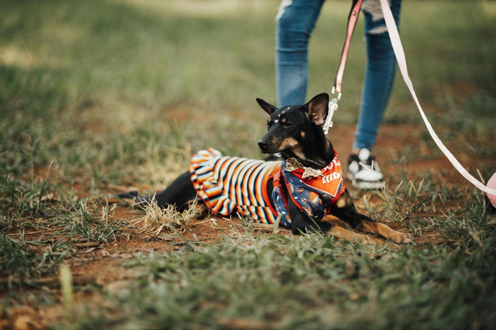 DIY Cooling Bandana