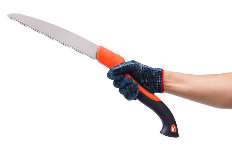 Hand holding a pruning saw isolated on white background