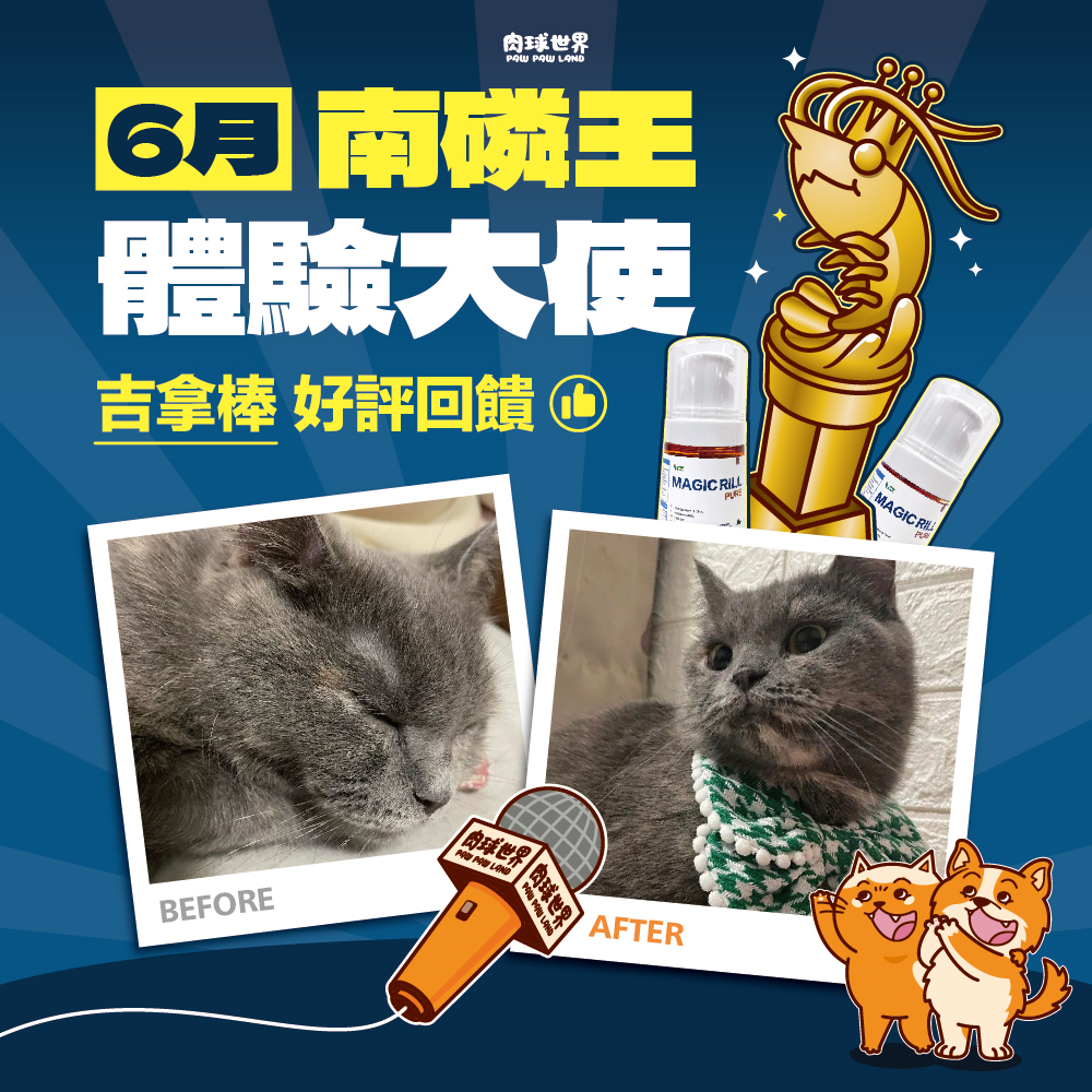1. 好評回饋│吉拿棒