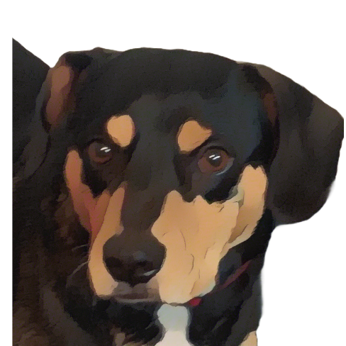 A close up of a dog

AI-generated content may be incorrect.