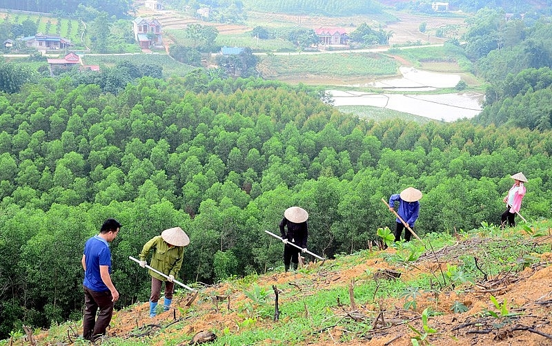 Mã ngành 6810 không bao gồm hoạt động cải tạo, san lấp mặt bằng