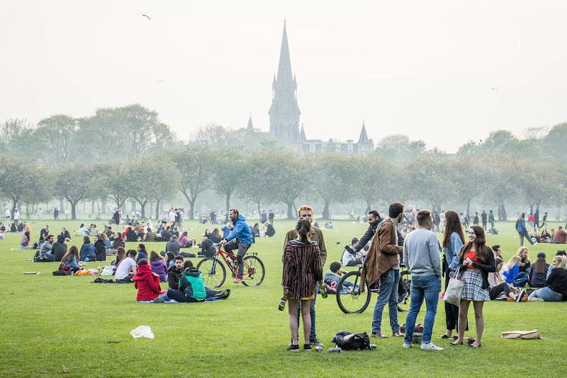 Relax in the Meadows