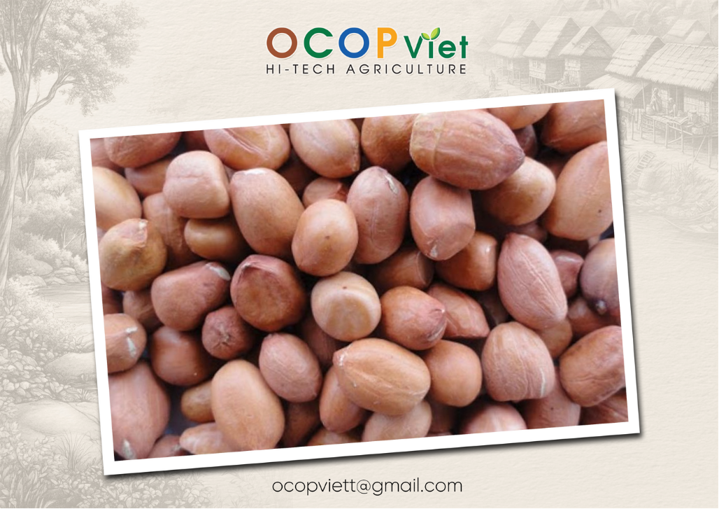 các loại hạt tốt cho sức khỏe