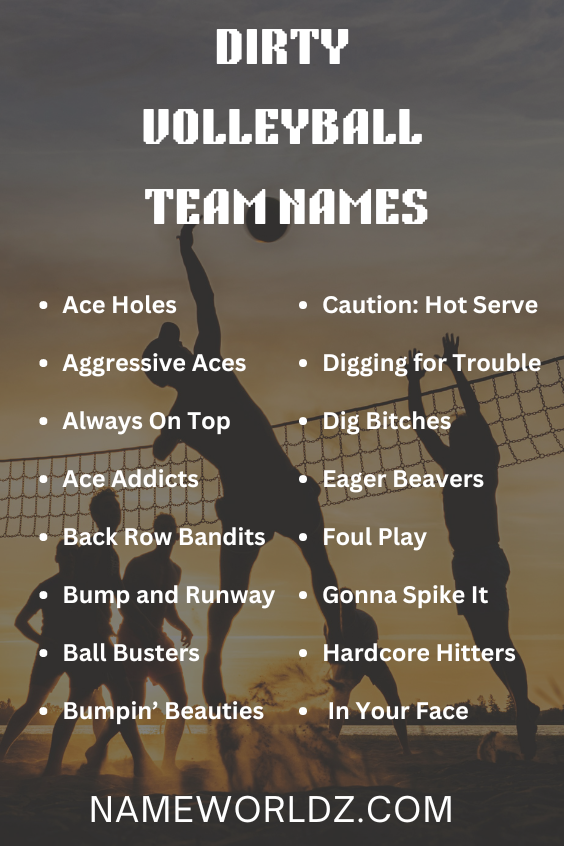 Dirty Volleyball Team Names