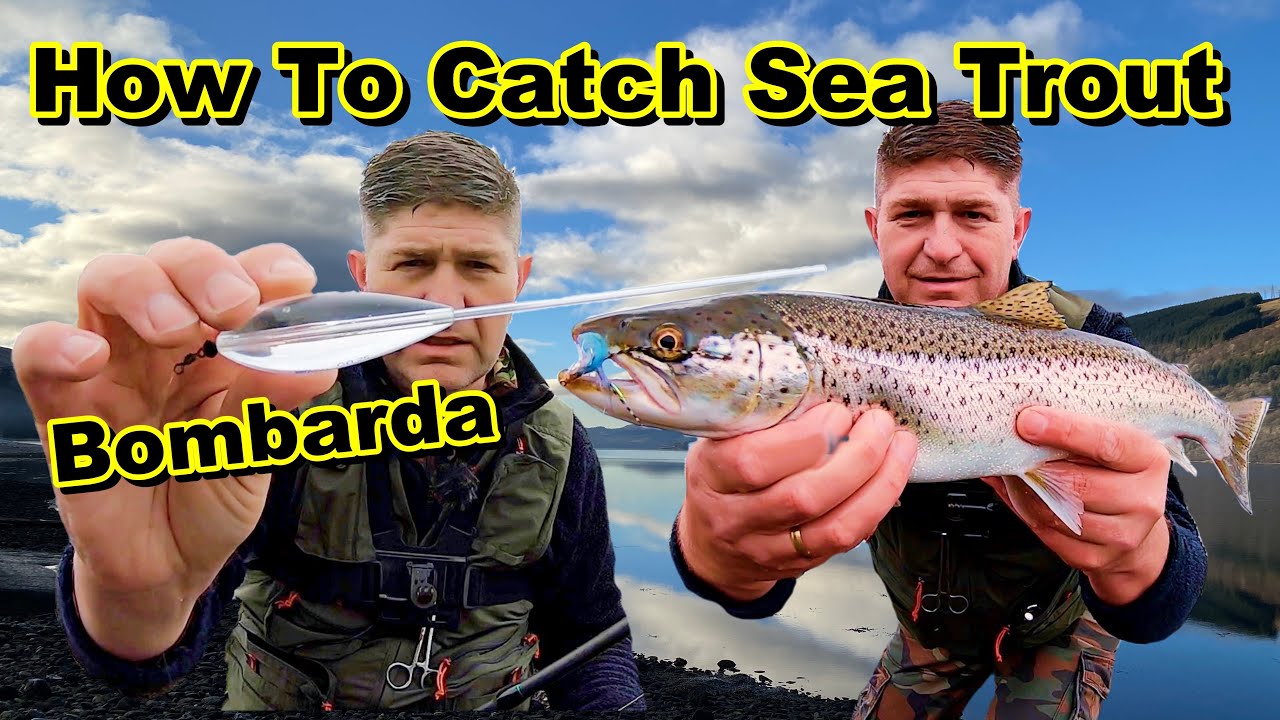 How to Catch Sea Trout: Expert Tips and Techniques