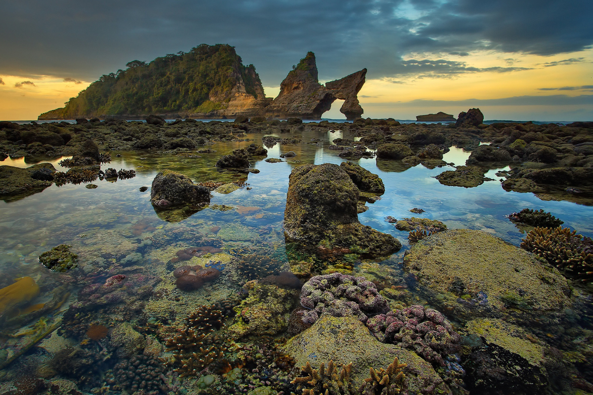 The magnificent views of coral reefs in Nusa Penida.