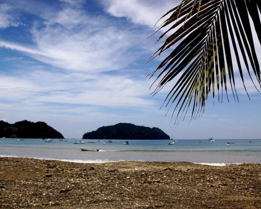 Playa Herradura Beach with calm waters and palm trees along the shoreline.