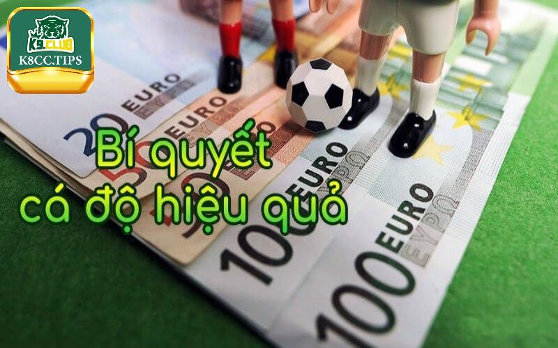 Bí quyết cá cược hiệu quả tại K8 bet