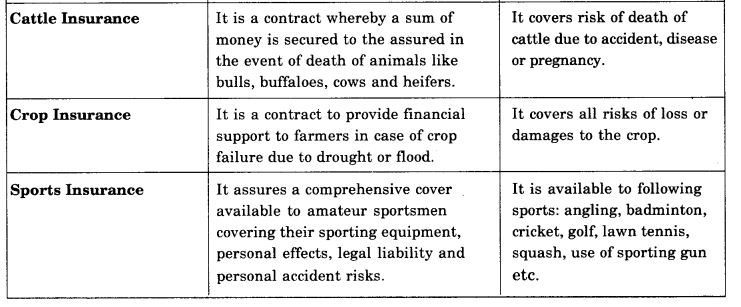 NCERT Solutions For Class 11 Business Studies Business Services LAQ Q4.2