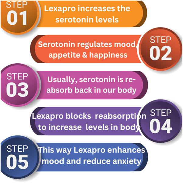 How Lexapro Works for Anxiety?