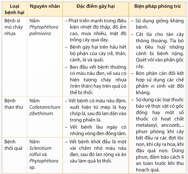 BÀI 6: KĨ THUẬT TRỒNG VÀ CHĂM SÓC CÂY SẦU RIÊNG