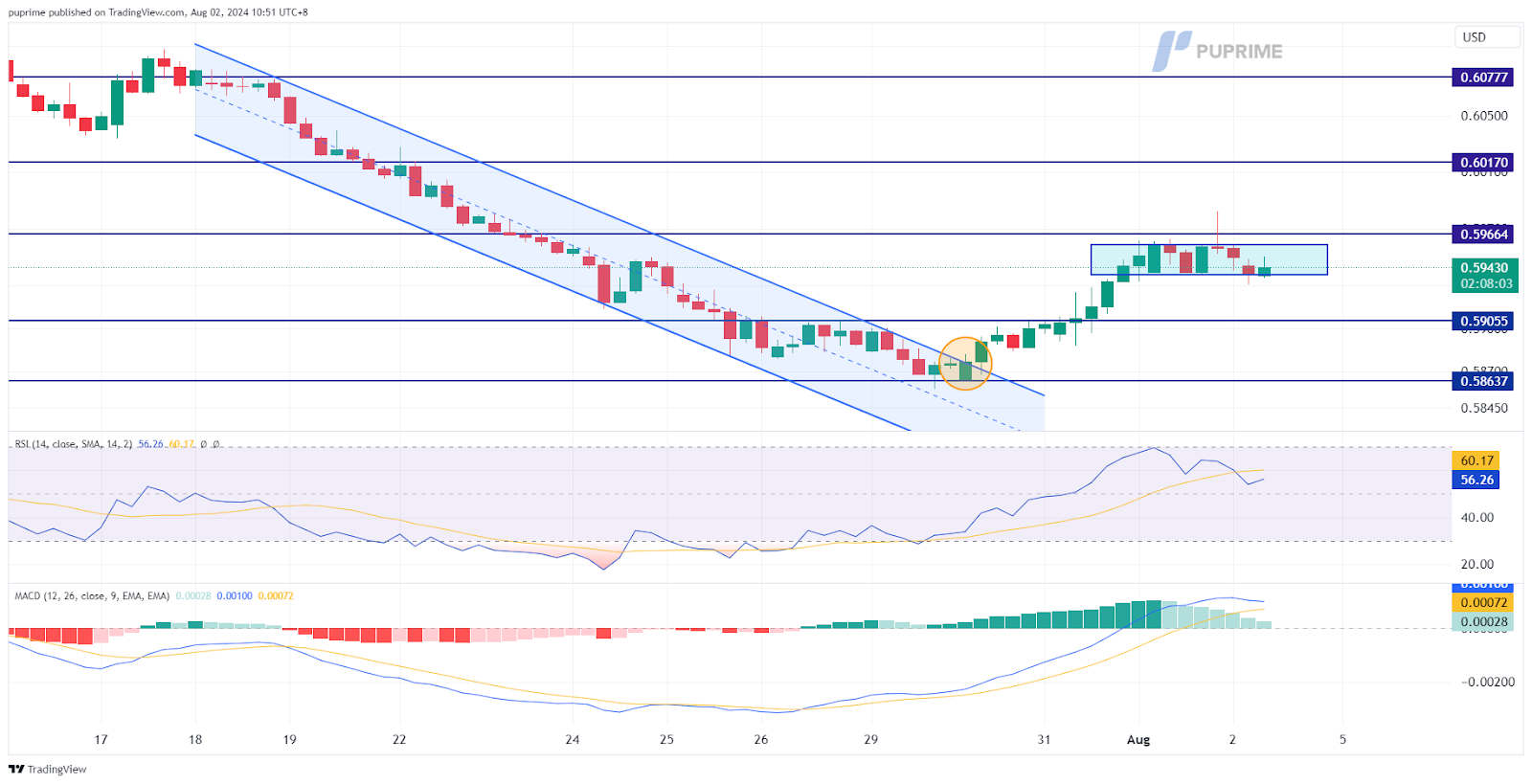 NZD/USD prop trading price chart 2 August 2024