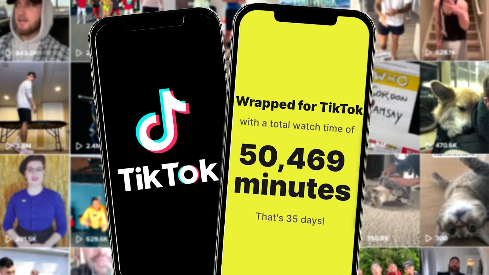 tiktok wrapped