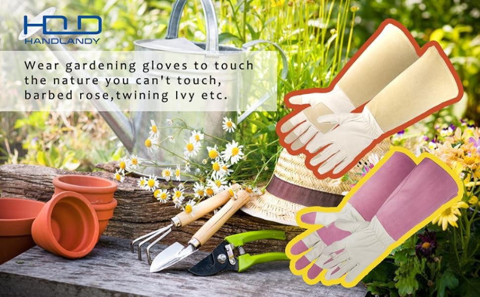 Top 5 Gardening Kits for Iowa Hiking
