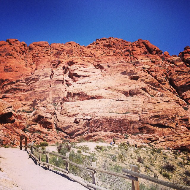 Nature through Day Trips
