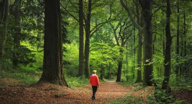 Explore Tranquility Through These Scenic Landscapes, scenic landscapes, tranquility, nature, landscape, nature escape, peaceful moments