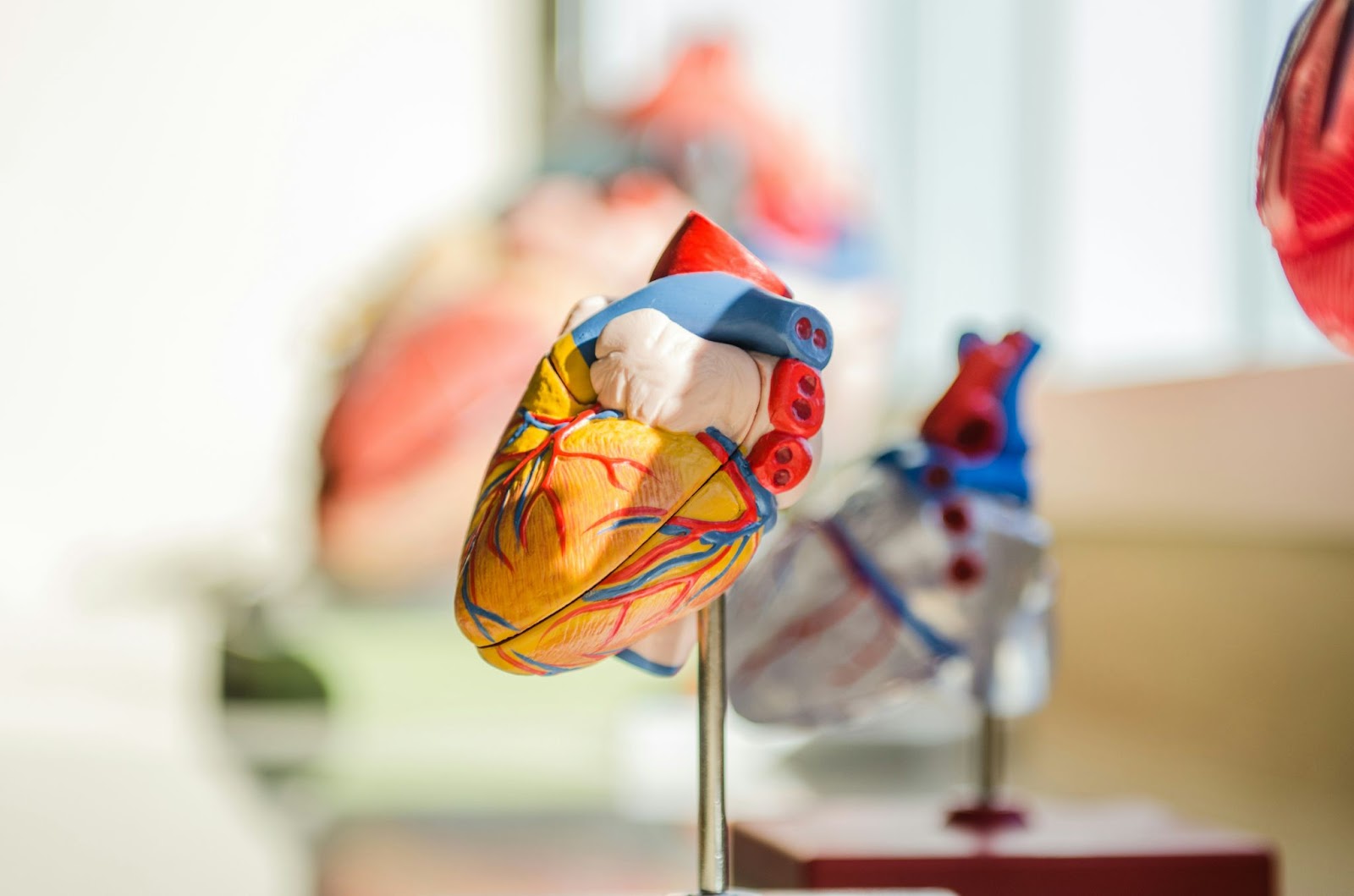 Cardiac CT Scans and MRI