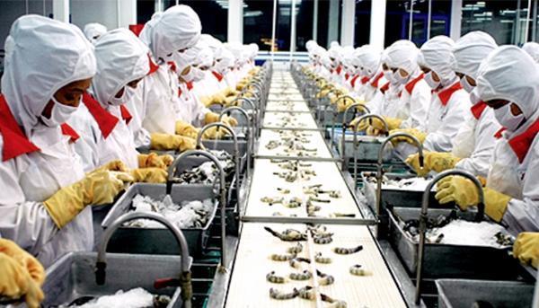 TUẦN 2. HĐGD – TÌM HIỂU HOẠT ĐỘNG 3 CHỦ ĐỀ 8