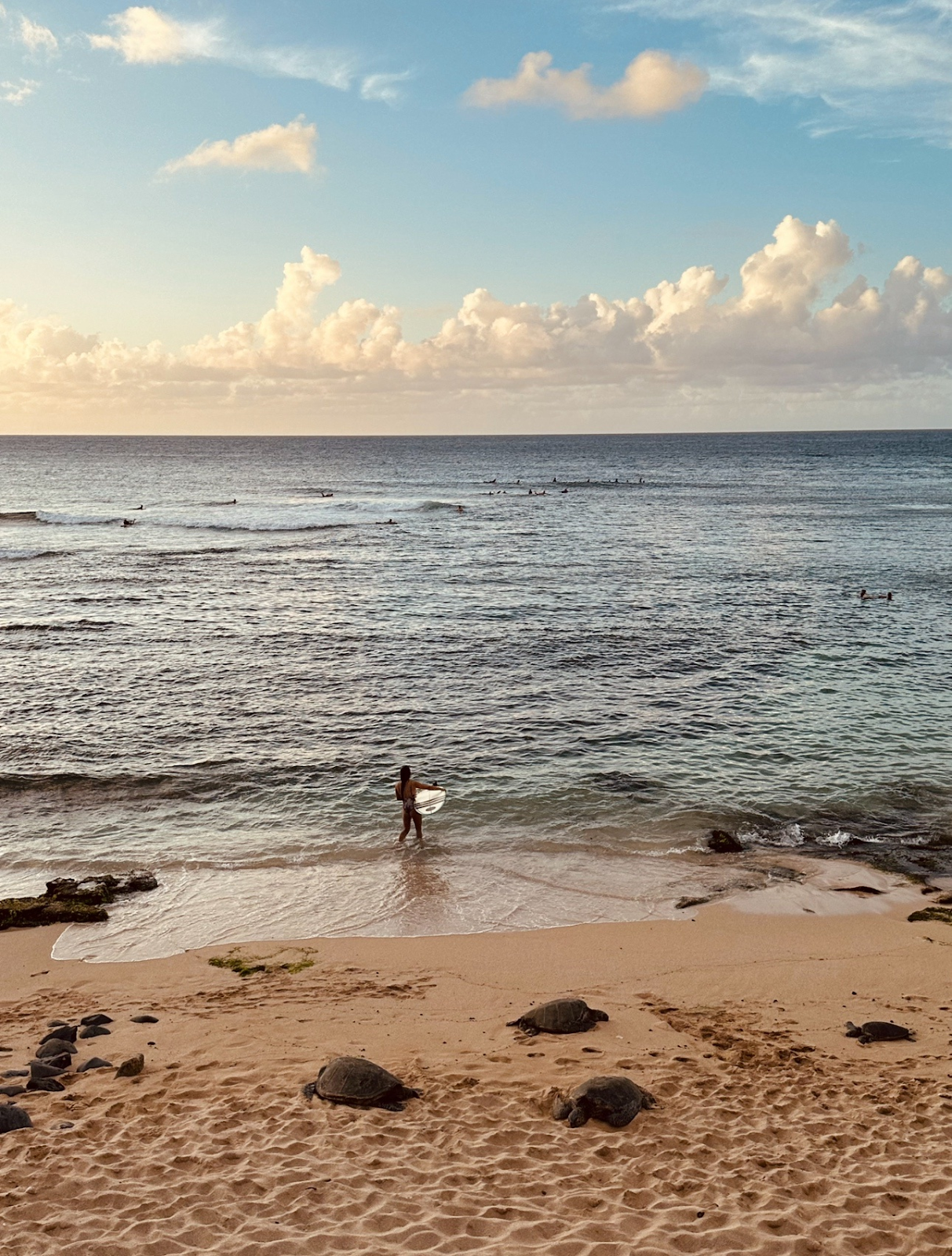 things to do in Maui 