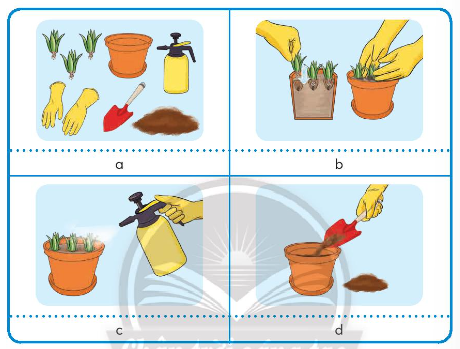 BÀI 4. TRỒNG CÂY CẢNH TRONG CHẬU