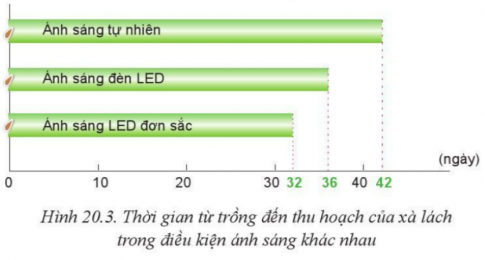 BÀI 20: GIỚI THIỆU VỀ TRỒNG TRỌT CÔNG NGHỆ CAO