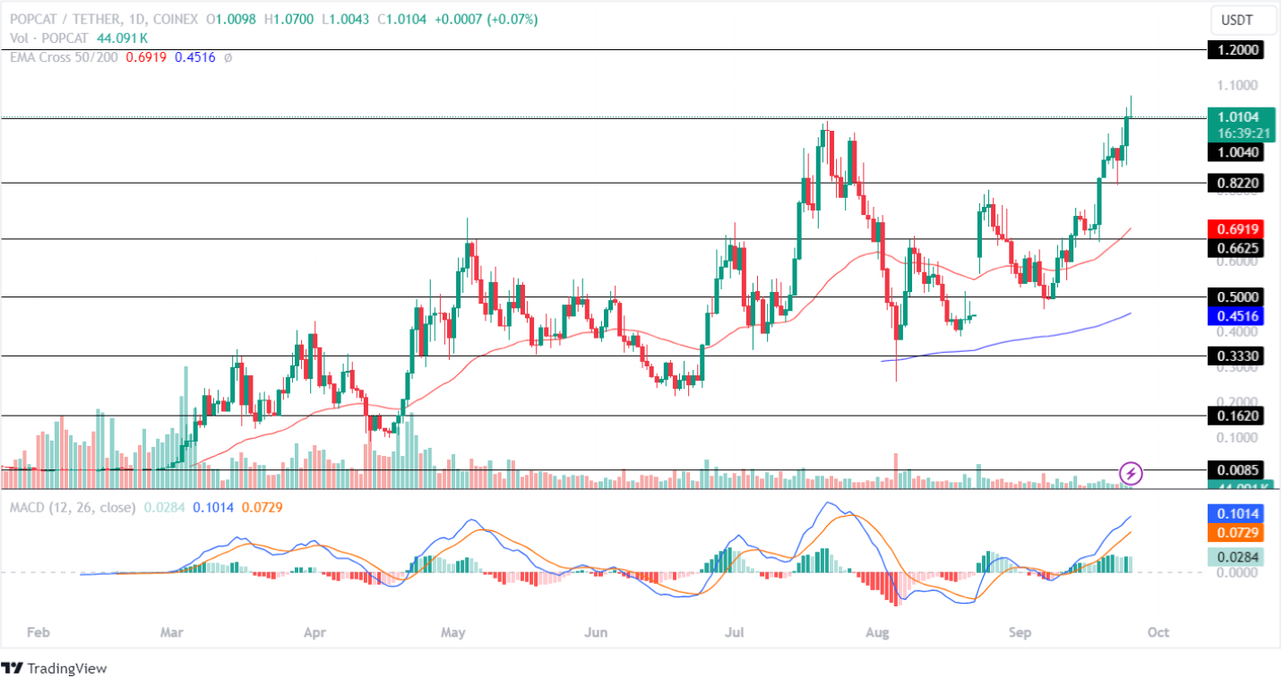 Popcat October 2024 Price Target