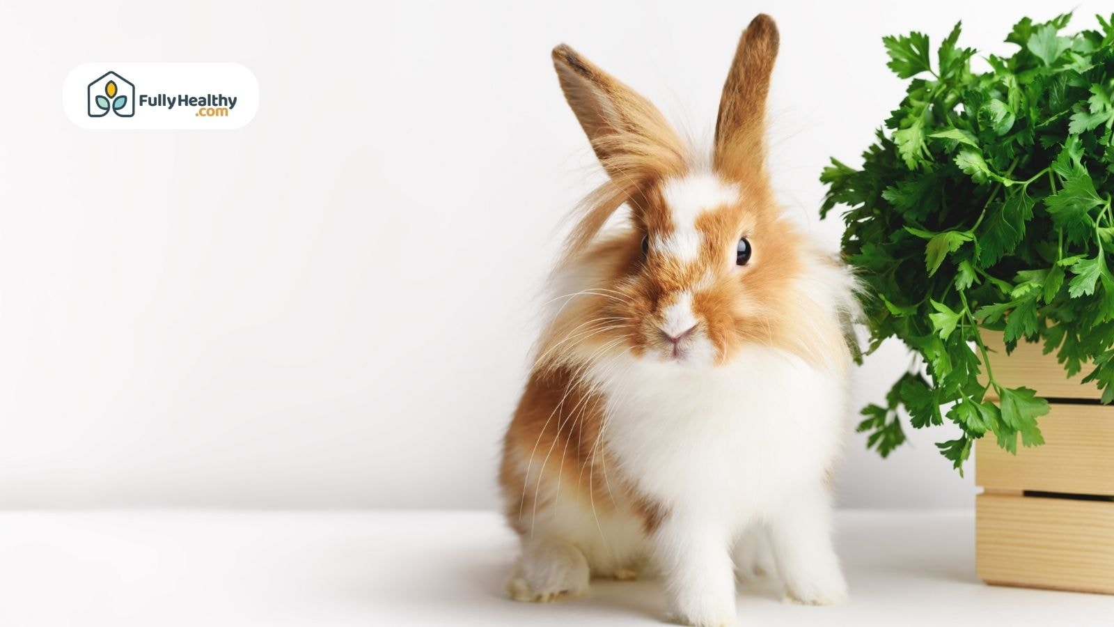 Adorable rabbit beside a basket of parsley.