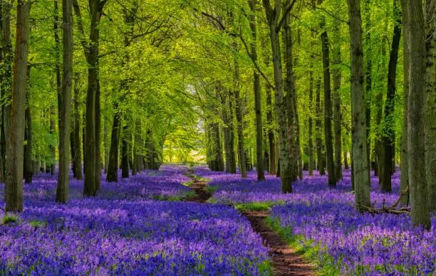 Feel the Earth Breathe in These 20 Landscapes, breathing nature, earthy views, nature, landscape, alive landscapes, subtle motion