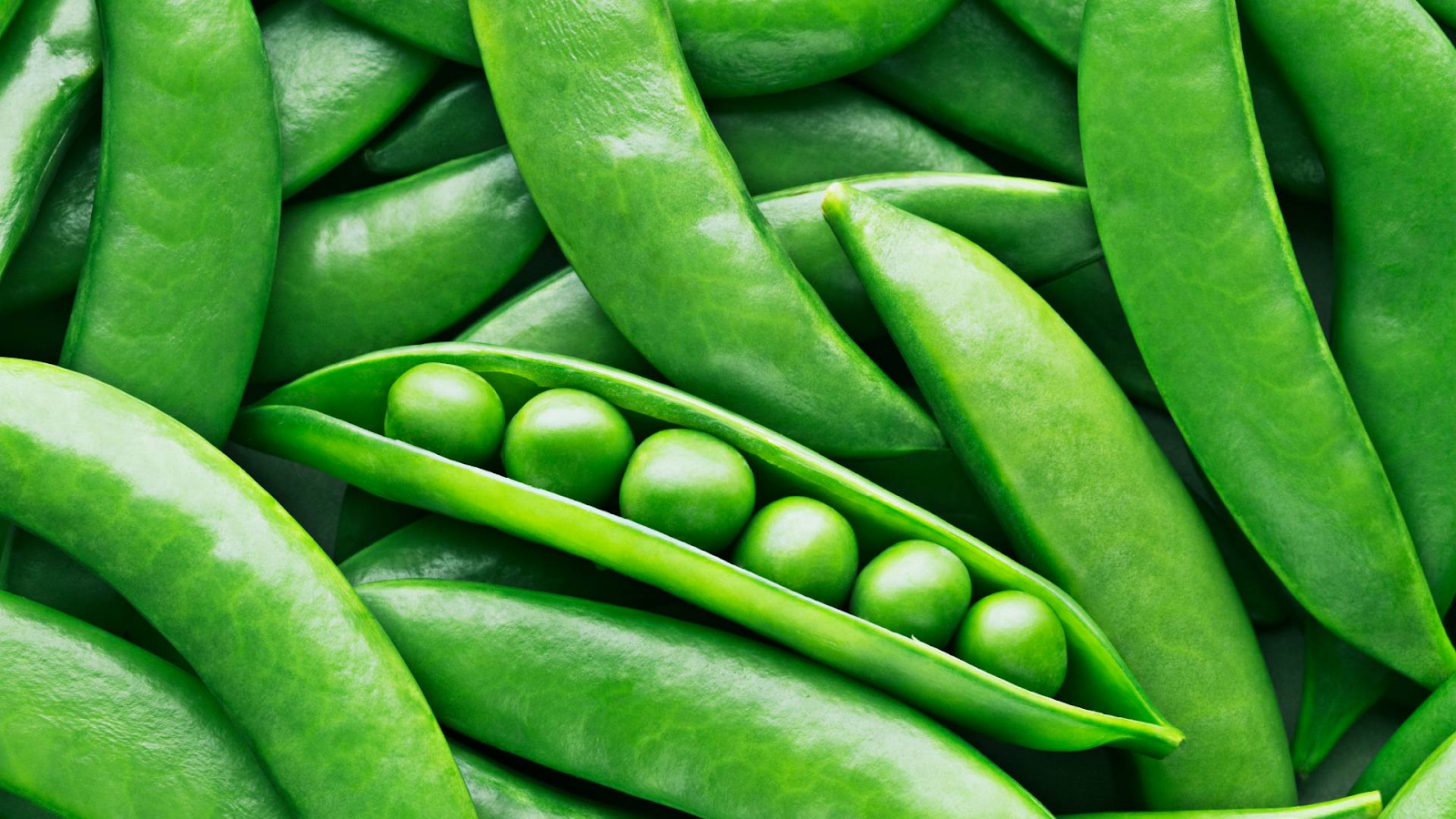 Characteristics of Peas