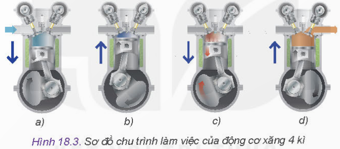 BÀI 18 - NGUYÊN LÝ LÀM VIỆC CỦA ĐỘNG CƠ ĐỐT TRONGMỞ ĐẦUCH: Em hãy quan sát Hình 18.1 và cho biết nếu trục khuỷu quay theo chiều mũi tên, pít tông sẽ chuyển động lên trên hay xuống dưới: thể tích, nhiệt độ và áp suất phía trên đỉnh pít tông (phần tô màu xanh) thay đổi như thế nào?Đáp án chuẩn:Pít tông sẽ chuyển động lên trên; thể tích giảm dần, nhiệt độ và áp suất phía trên đỉnh pít tông tăng dần.I. MỘT SỐ KHÁI NIỆM CƠ BẢNKhám phá: Quan sát Hình 18.2 và cho biết hình nào có đỉnh pít tông xa tâm trục khuỷu nhất và hình nào có đỉnh pít tông gân tâm trục khuỷu nhất?Đáp án chuẩn:Hình a có đỉnh pit tông ở nhất. Hình b, c có đỉnh pit tông gần nhất.Luyện tập: Tính thể tích công tác của một xilanh khi biết thể tích công tác của động cơ 4 xilanh là 2,4 lít.Đáp án chuẩn:V = 2,4:4 = 0,6 lít.Luyện tập: Tính thể tích công tác của động cơ 4 xi lanh khi biết đường kính của mỗi xi lanh là 80mm và bán kính quay của trục khuỷu là 75mm.Đáp án chuẩn:Đổi:  80 mm = 0,08 m; 75 mm = 0,075 mS = 2R = 2 x 0,075 = 0,15 m → Vs =  π x D24 S  =  3,14 x 0,0824 x 0,15  = 0,0008 (lit).II. NGUYÊN LÍ LÀM VIỆC1. Nguyên lý làm việc của động cơ xăng 4 kìKhám phá: Đọc nội dung mô tả về các kì, quan sát Hình 18.3 và đặt tên các hình a, b, c, d tương ứng với các kì nạp, nén, nổ, thải.Đáp án chuẩn:Hình a: nạpHình b: nénHình c: nổHình d: thải.3. Nguyên lý làm việc của động cơ xăng 2 kìKhám phá: Quan sát Hình 18.4 và cho biết:Những chi tiết, bộ phận nào có ở động cơ 4 kì nhưng không có ở động cơ 2 kì và ngược lại.Vị trí của pít tông ở đâu thì cửa quét, cửa thải cùng được mở ra? Cửa nào được mở ra trước?Đáp án chuẩn:Động cơ 4 kì có xupap còn động cơ 2 kì không có. Động cơ 2 kì có cửa quét còn động cơ 4 kì không có.Pit tông đi xuống điểm chết dưới thì cửa quét, cửa thải đều mở. Cửa thải được mở ra trước.Khám phá: Quan sát mỗi hình a, b, c trong Hình 18.5 và cho biết:Chiều chuyển động của pít tông.Trạng thái của cửa thải và cửa quét.Trạng thái khí trong buồng đốt của động cơ.Đáp án chuẩn:Hình a: pit tông đi xuống, cửa thải và cửa quét đóng, khí cháy đẩy phit tông đi xuống.Hình b: pit tông đi xuống điểm chết dưới, cửa quét và cửa thải mở, hòa khí từ cửa quét vào xilanh, khí cháy từ xilanh bị đẩy ra ngoài qua cửa thải.Hình c: pit tông đi lên, cửa quét và cửa thải đóng, hòa khí trong xilanh bị nén với áp suất cao.4. Nguyên lý làm việc của động cơ Diesel 2 kì Kết nối năng lực: Qua sách báo, internet và quan sát thực tế trong cuộc sống, em hãy cho biết các phương tiện cơ giới đường bộ như ô tô và xe máy thường sử dụng động cơ xăng hay động cơ Diesel.Đáp án chuẩn:Sử dụng động cơ xăng.Luyện tập: Động cơ Diesel có cần bugi đánh lửa như động cơ xăng hay không? Nếu không thì tại sao nhiên liệu diesel lại cháy được?Đáp án chuẩn:Động cơ Diezen không cần bugi đánh. Nhiên liệu diesel cháy được là do tỉ số nén cao nên khi bị nén ở điều kiện nhiệt độ và áp suất cao, hòa khí tự bốc cháy.III. CÁC THÔNG SỐ CƠ BẢN CỦA ĐỘNG CƠ ĐỐT TRONG