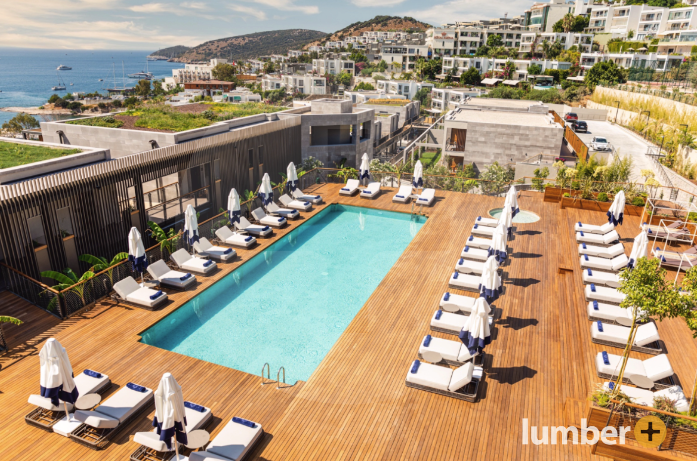 a Lumber Plus hardwood deck made out of Thermo Ash around a rooftop pool