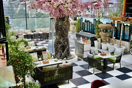 Restaurants in Noida